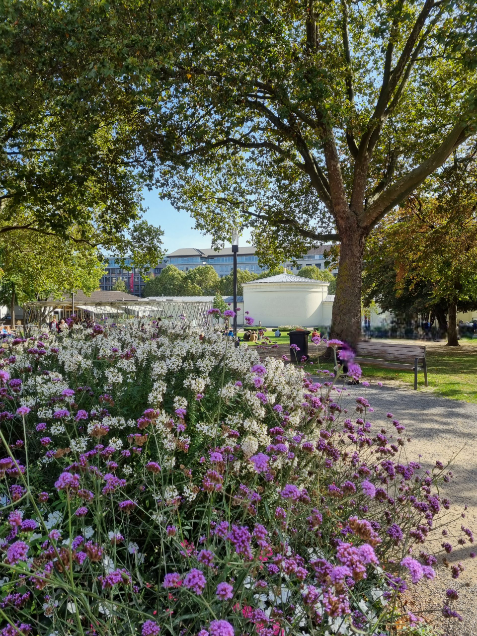 Erlebnis Aachen: Entdecken Sie die kulturelle Vielfalt der Stadt